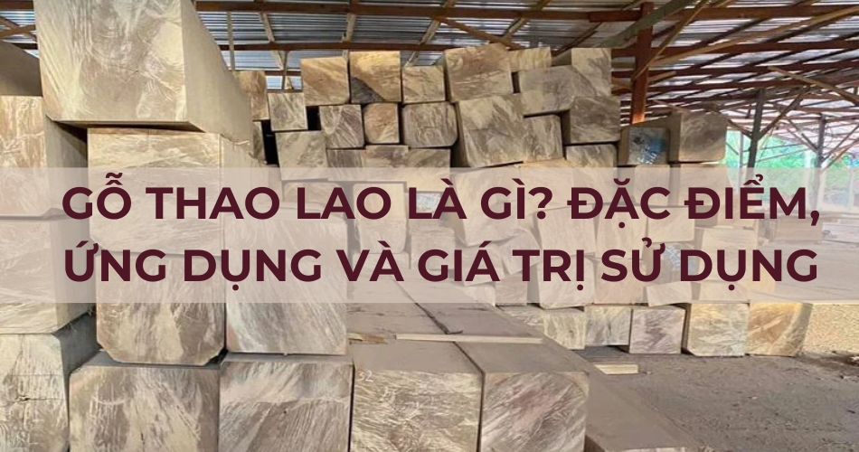 Gỗ Thao Lao là gì? Đặc điểm, ứng dụng và GIÁ TRỊ sử dụng